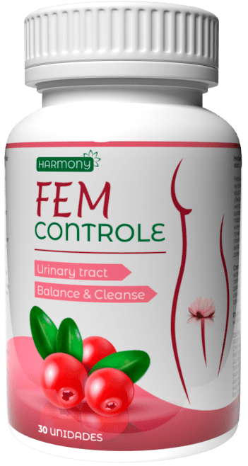 FEM Controle
